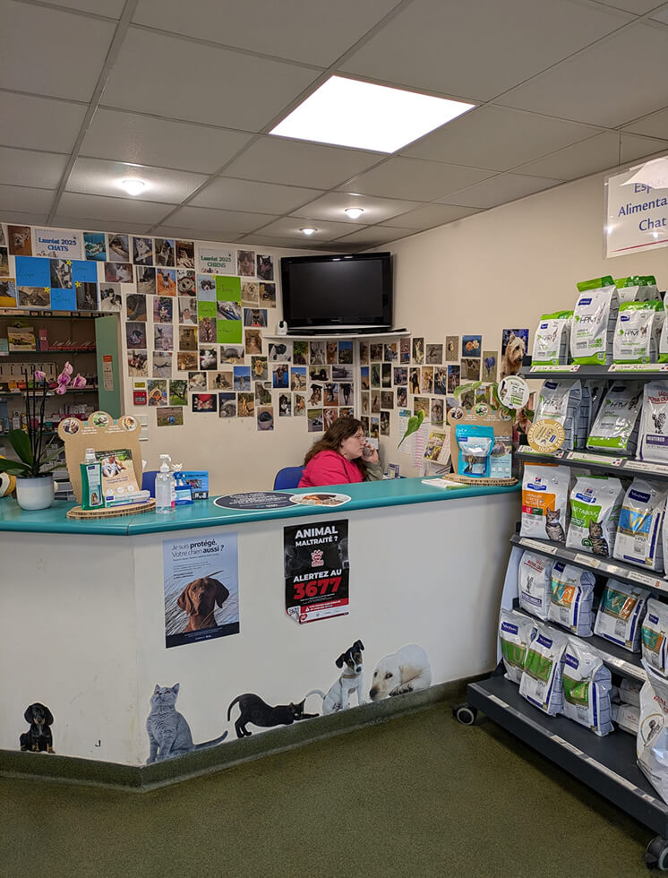 Accueil contact clinique vétérinaire Mesnil-le-Roi