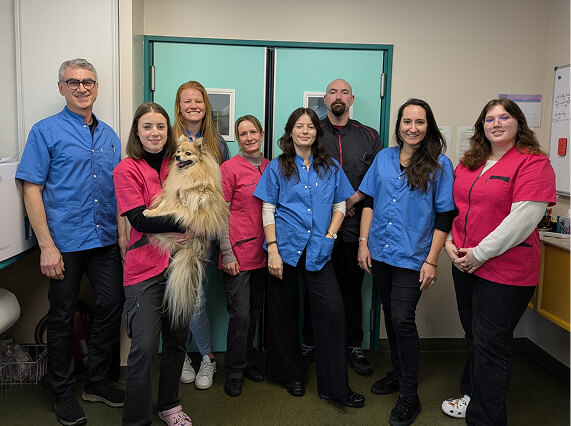 &eacute;quipe de la Clinique v&eacute;t&eacute;rinaire Maisons Mesnil