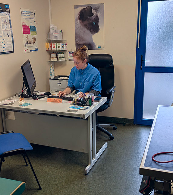 Consultation Vétérinaire Maisons Mesnil