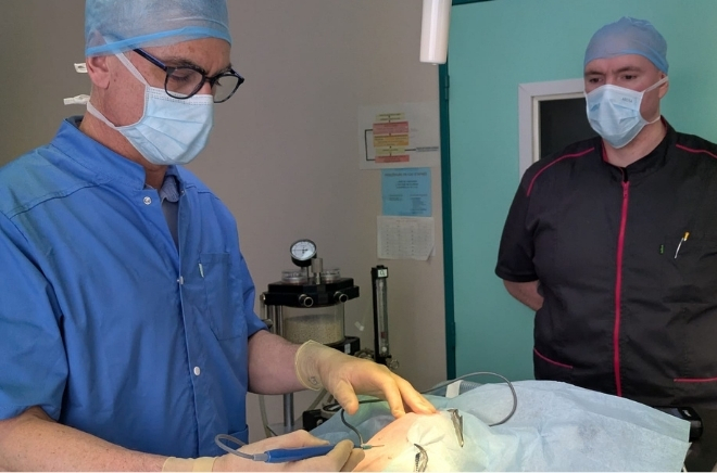 Chirurgie vétérinaire, services vétérinaires