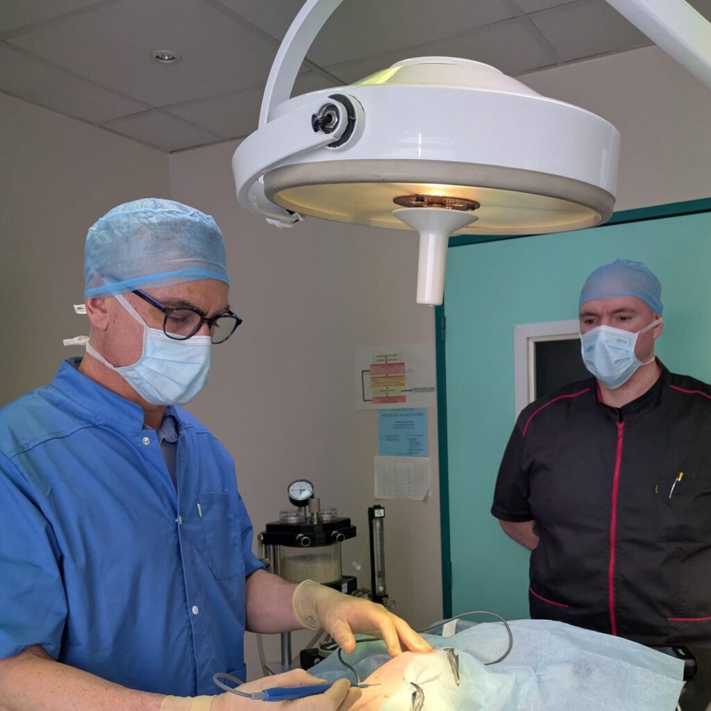 Vétérinaire Mesnil Le Roi